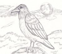 Raven